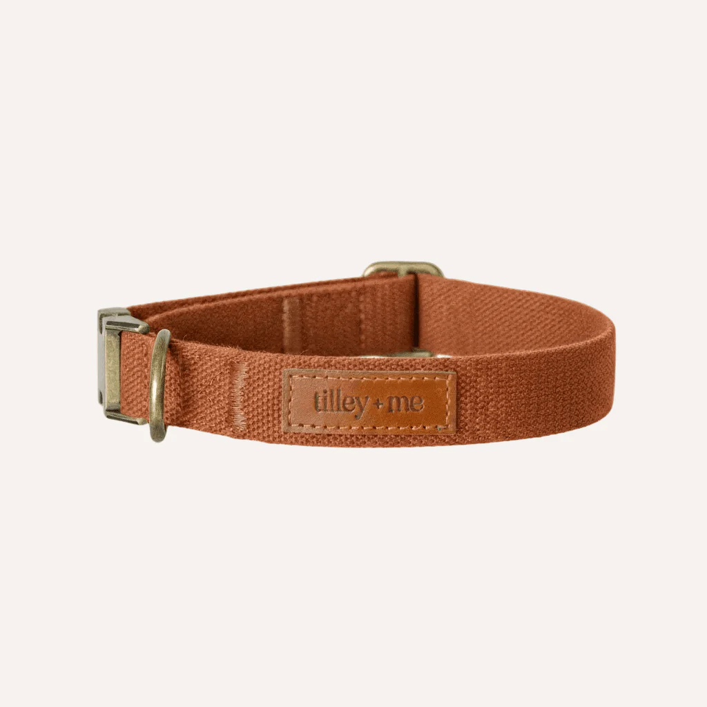 Tilley + Me Hemp Cotton Dog Collar – Durable, Adjustable, Soft – Joshua Tree - Image 8