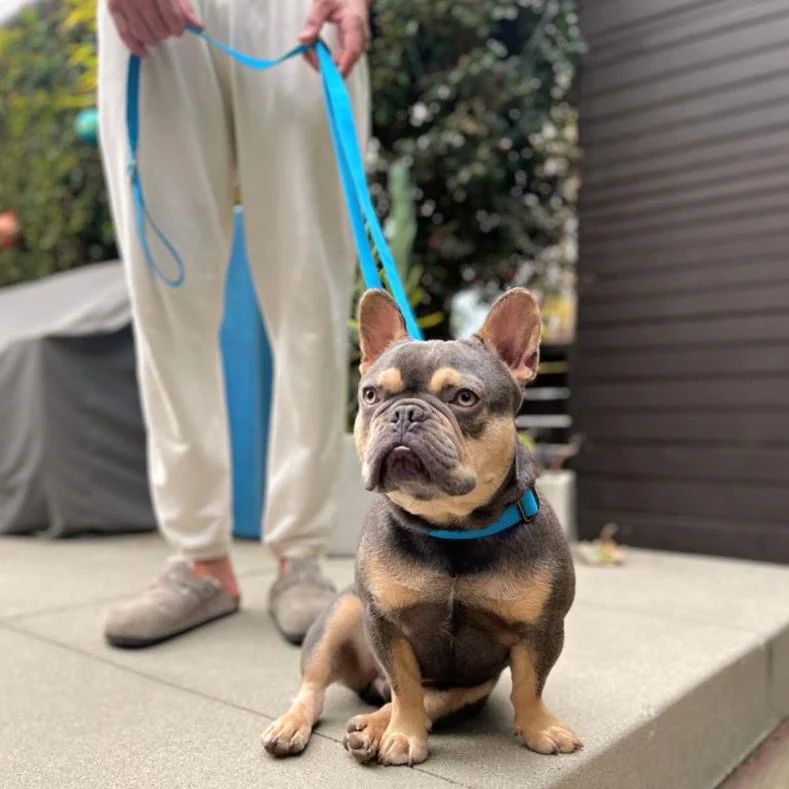 Tilley + Me Hemp Cotton Dog Leash - Durable, Sustainable, Adjustable, Lightweight & Soft-Malibu - Image 12