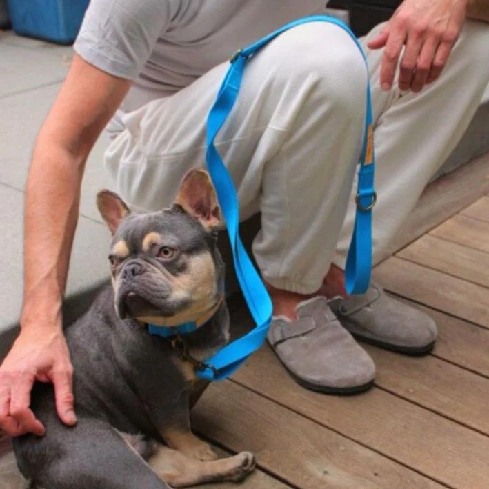 Tilley + Me Hemp Cotton Dog Leash - Durable, Sustainable, Adjustable, Lightweight & Soft-Malibu - Image 14