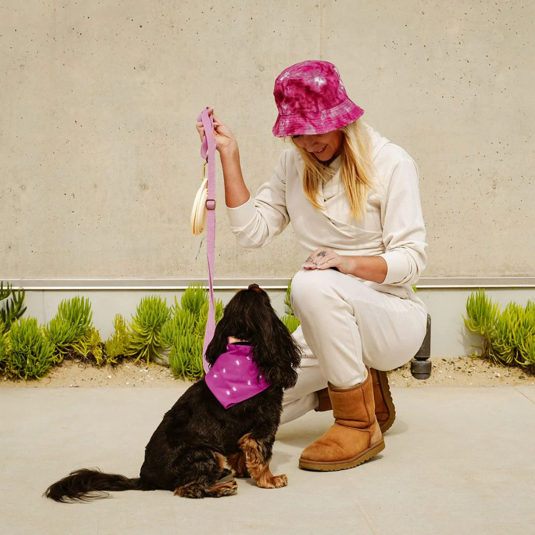 Tilley + Me Hemp Cotton Dog Leash - Durable, Sustainable, Adjustable, Lightweight & Soft-Malibu - Image 15