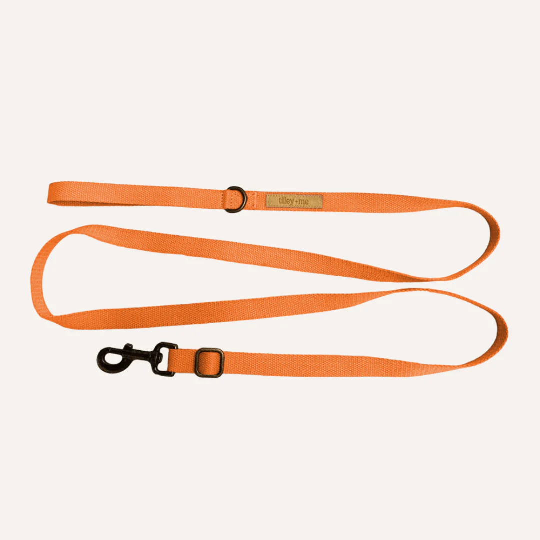 Tilley + Me Hemp Cotton Dog Leash - Durable, Sustainable, Adjustable, Lightweight & Soft-Malibu - Image 3