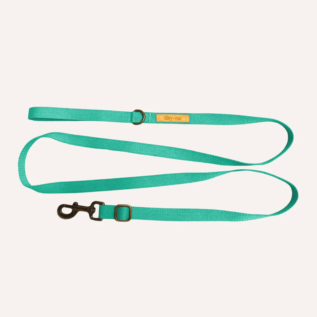 Tilley + Me Hemp Cotton Dog Leash - Durable, Sustainable, Adjustable, Lightweight & Soft-Malibu - Image 4