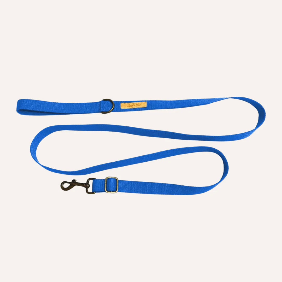 Tilley + Me Hemp Cotton Dog Leash - Durable, Sustainable, Adjustable, Lightweight & Soft-Malibu - Image 5