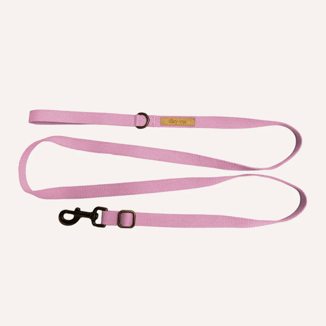 Tilley + Me Hemp Cotton Dog Leash - Durable, Sustainable, Adjustable, Lightweight & Soft-Malibu - Image 6