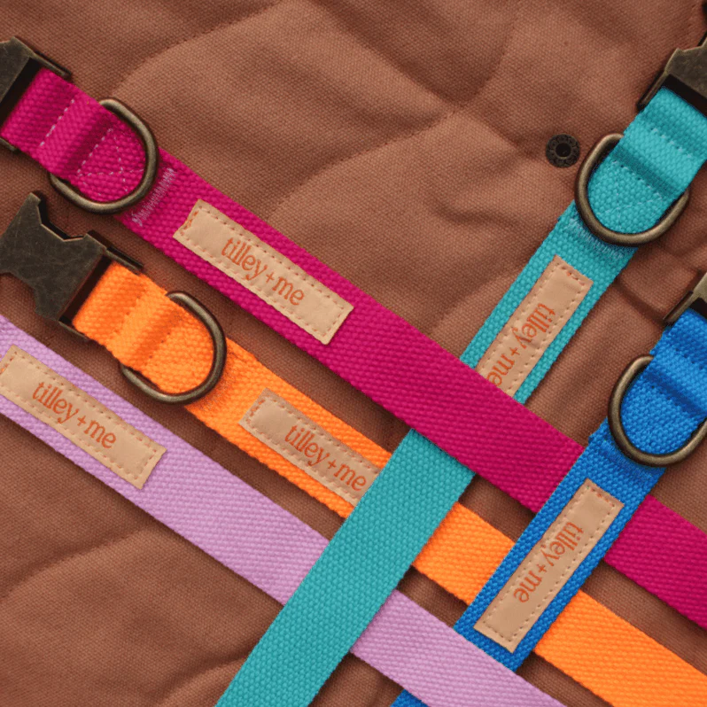 Tilley + Me Hemp Cotton Dog Leash - Durable, Sustainable, Adjustable, Lightweight & Soft-Malibu - Image 7