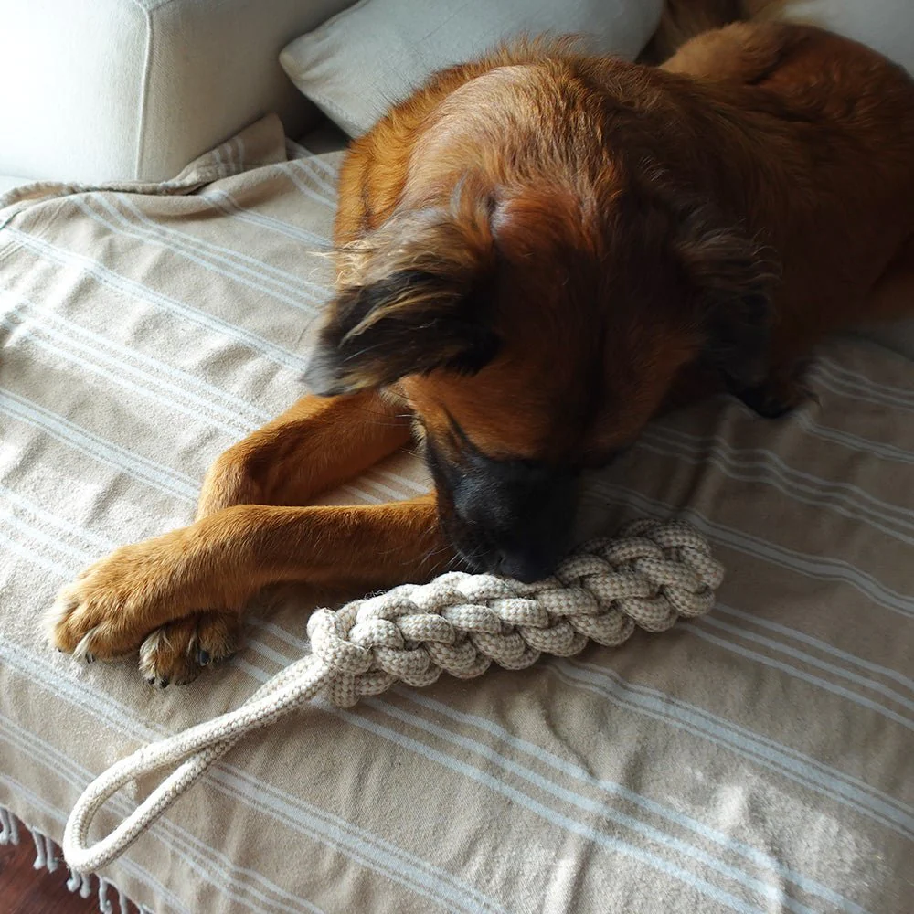 Tilley + Me Indestructible Hemp Rope Tug Toy - Sustainable and Non-Toxic Pet Toy - Image 3