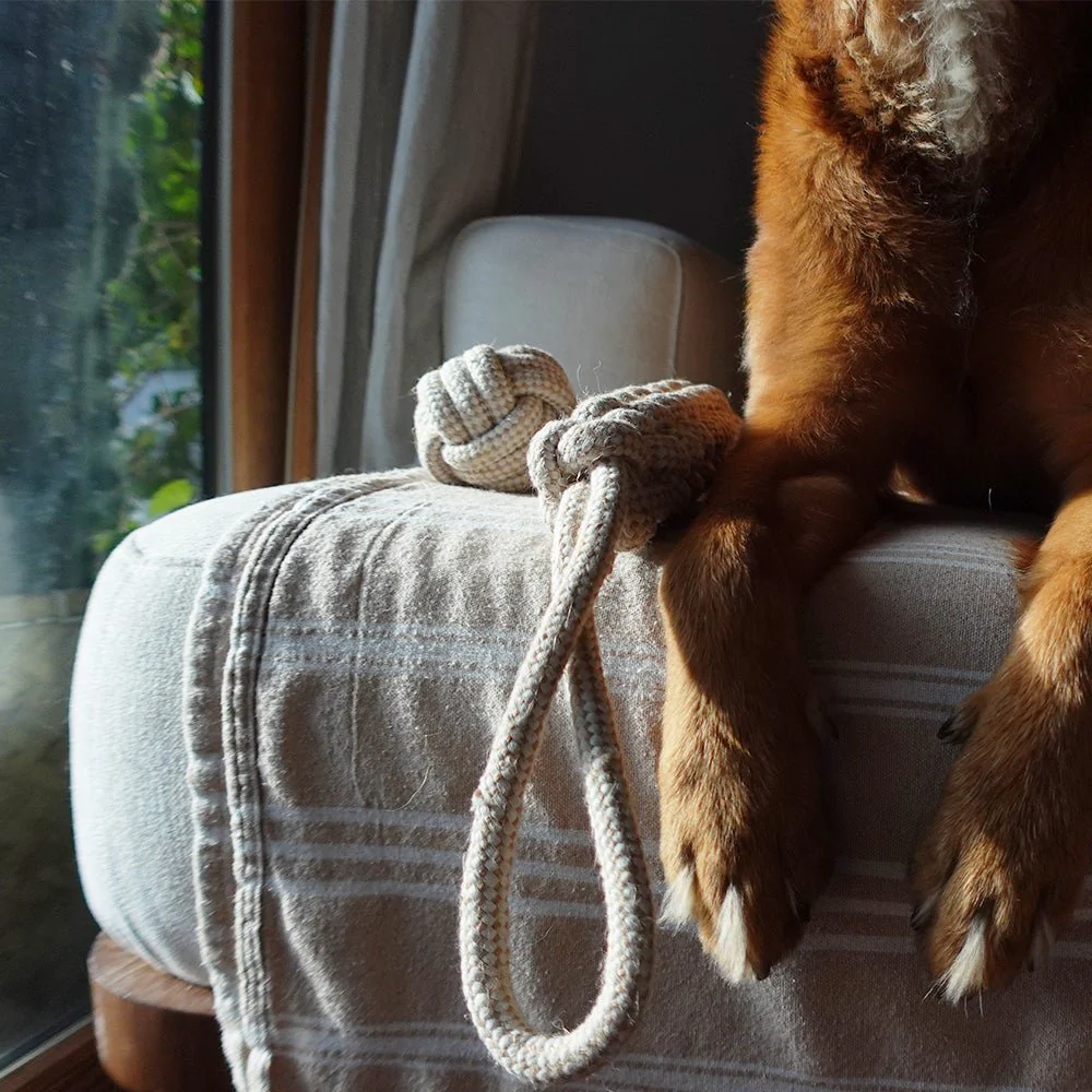 Tilley + Me Indestructible Hemp Rope Tug Toy - Sustainable and Non-Toxic Pet Toy - Image 5