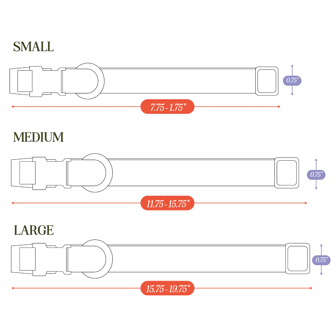 Tilley + Me PVC Dog Collar - All Weather Waterproof Durable & Odor-Resistant - Image 12