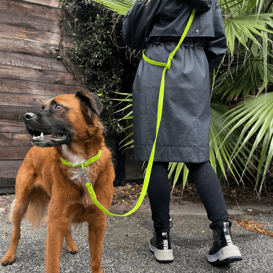 Tilley + Me PVC Dog Collar - All Weather Waterproof Durable & Odor-Resistant - Image 8