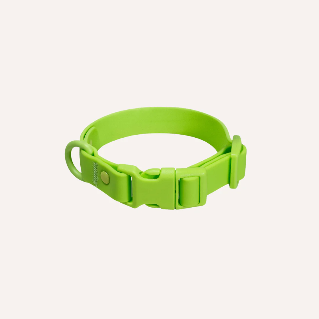 Tilley + Me PVC Dog Collar - All Weather Waterproof Durable & Odor-Resistant - Image 9