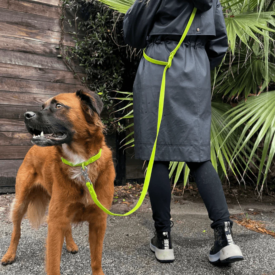 Tilley + Me PVC Handsfree Dog Leash - All Weather Waterproof Durable & Odor-Resistant - Image 6