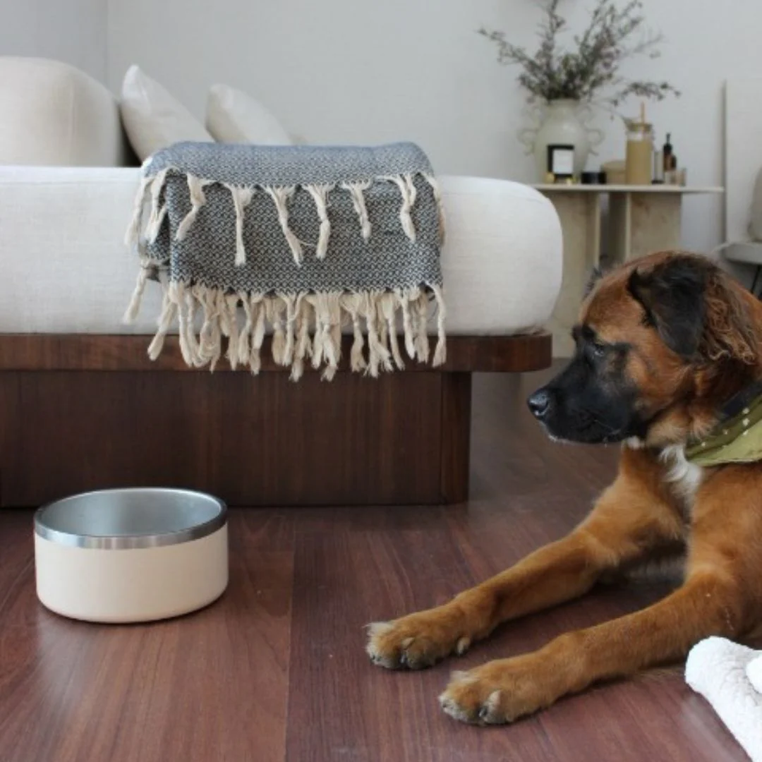 Tilley + Me Stainless Steel Pet Bowl – Non-Slip, Durable & Dishwasher Safe | 32oz and 64oz - Image 18