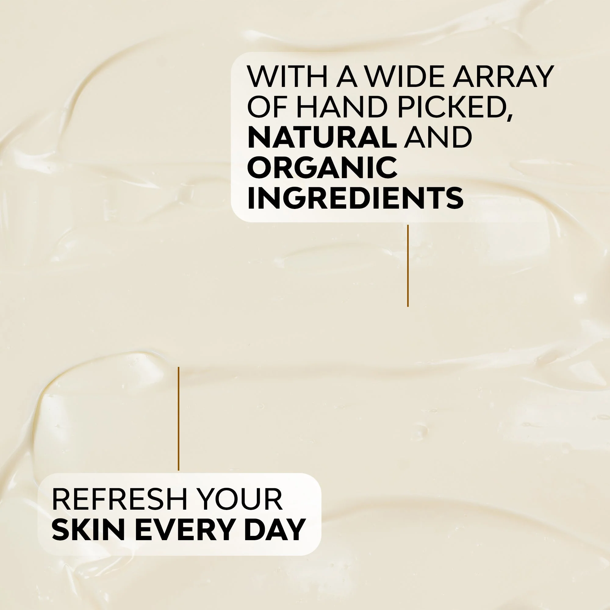 Timeless Eye Serum - Image 5