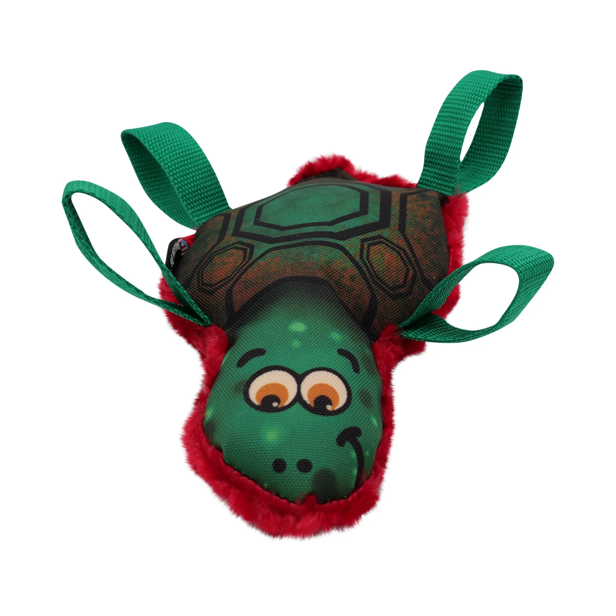 Tommy Turtle - Image 4
