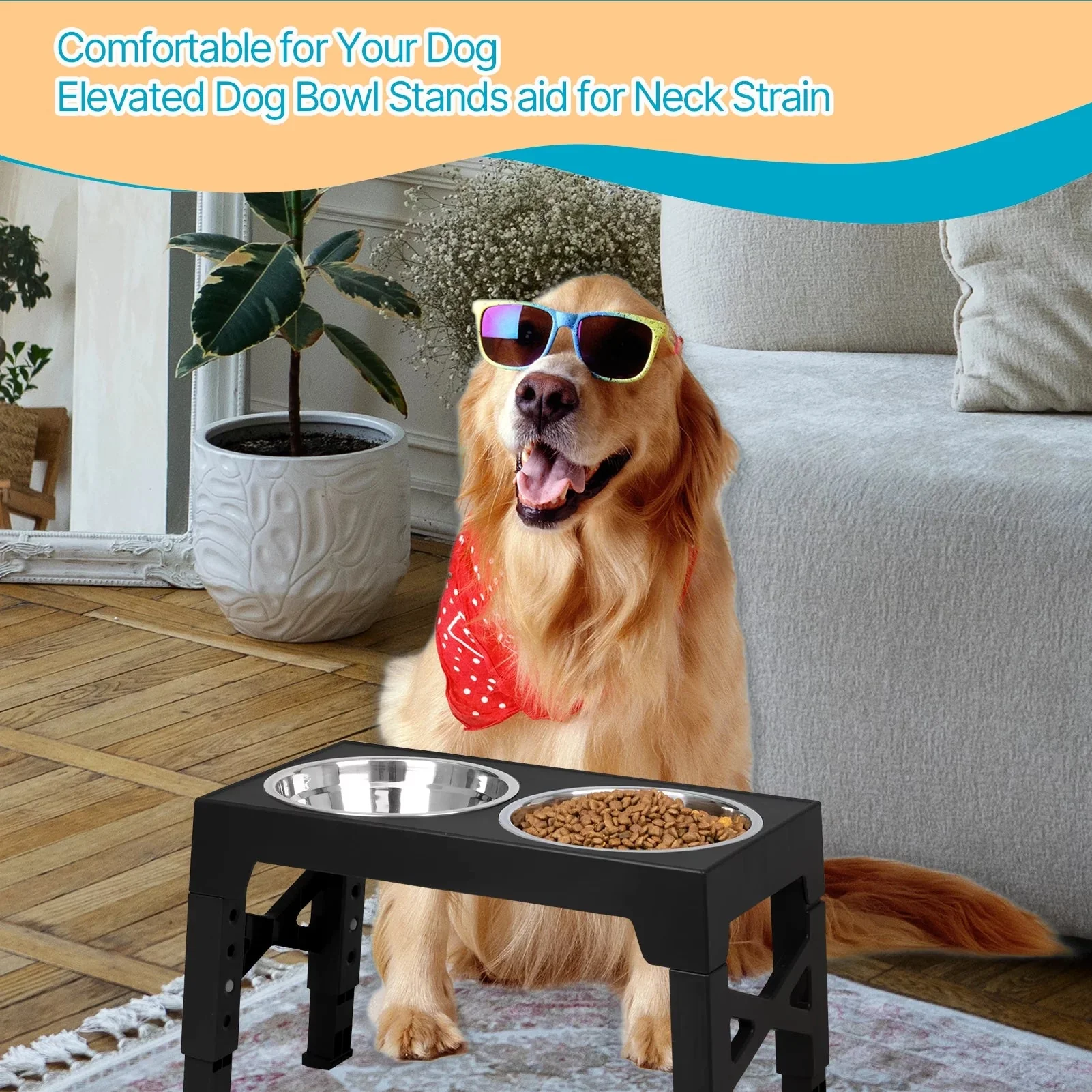 Top 10 Elevated Dog Bowl Stands with Stainless Steel Dishes - Image 4
