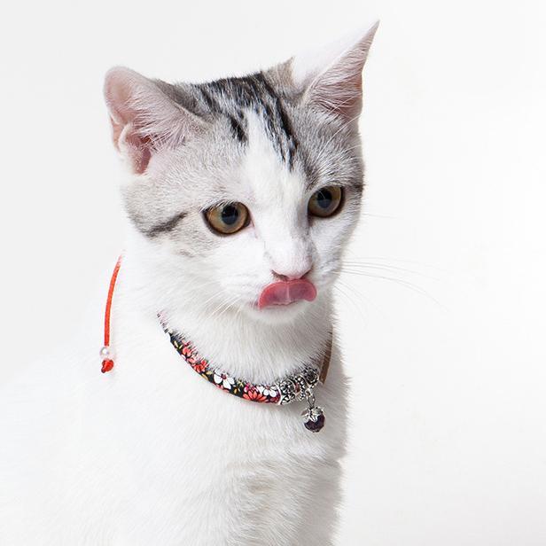 Touchcat Lucky Charms Designer Cable Necklace Cat Collar - Image 7