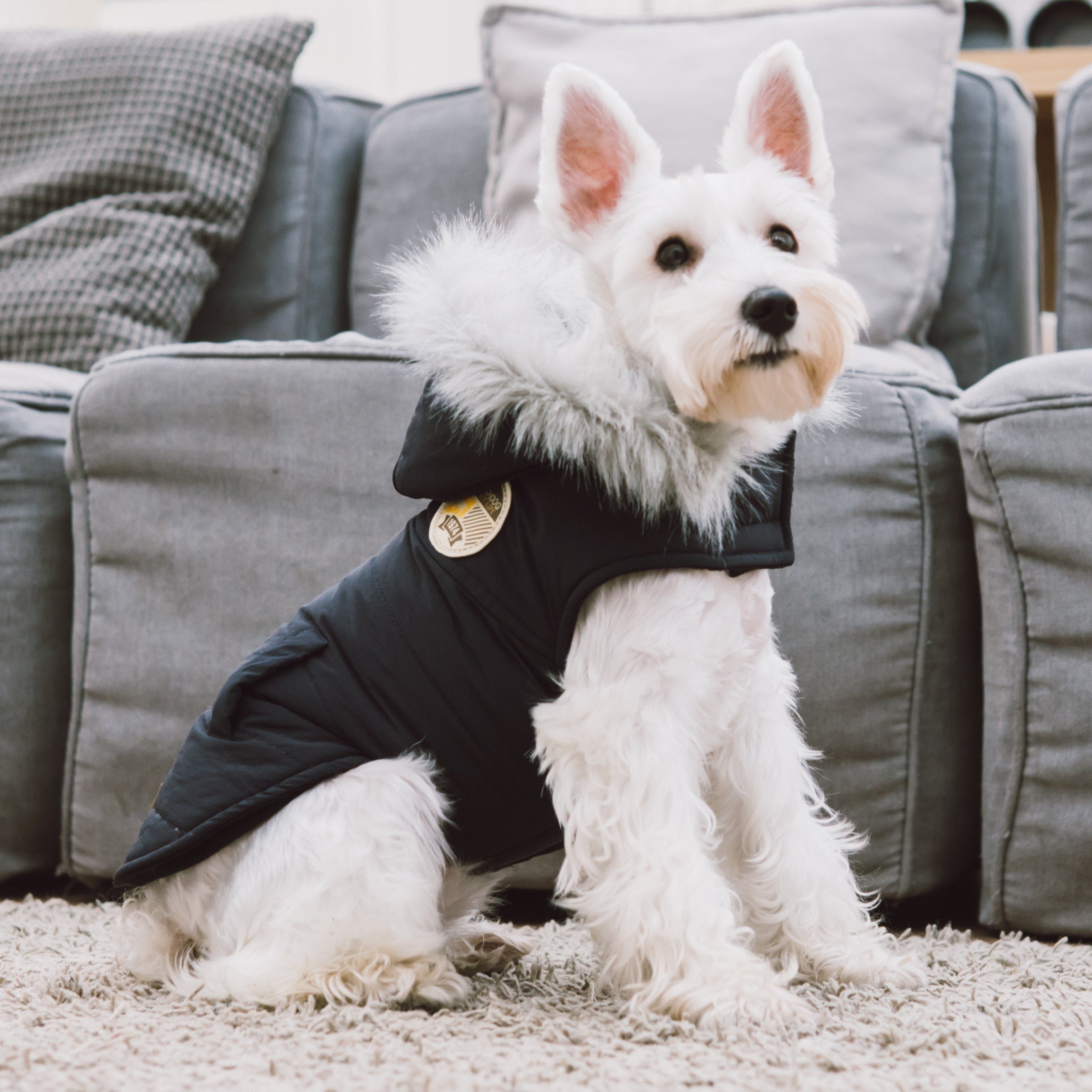 Touchdog 'Eskimo-Swag' Duck-Down Insulated Winter Dog Coat Parka - Image 5