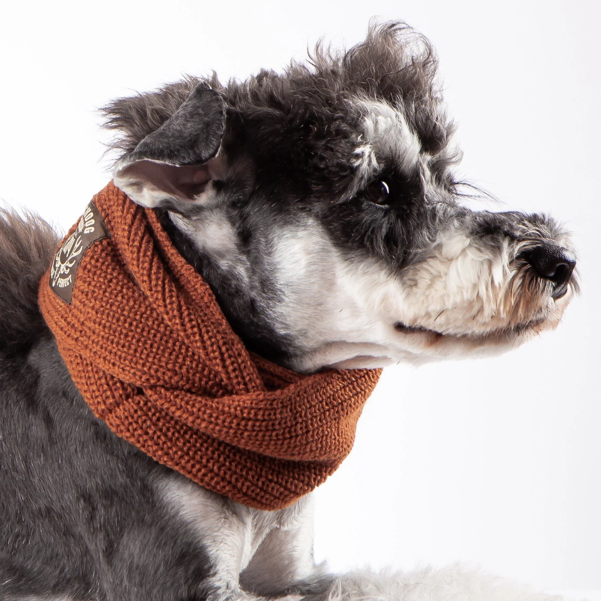 Touchdog Heavy Knitted Designer Fashion Winter Dog Scarf - Image 6
