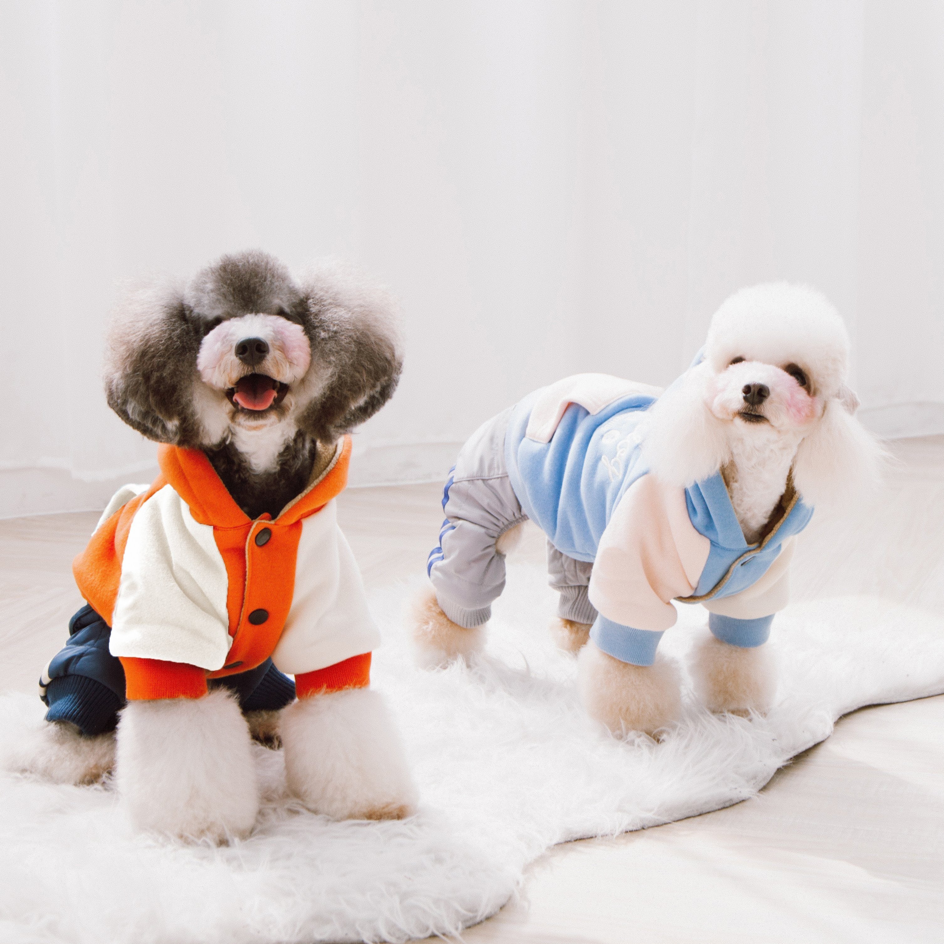 Touchdog 'Heritage' Soft-Cotton Fashion Dog Hoodie Sweater - Image 5