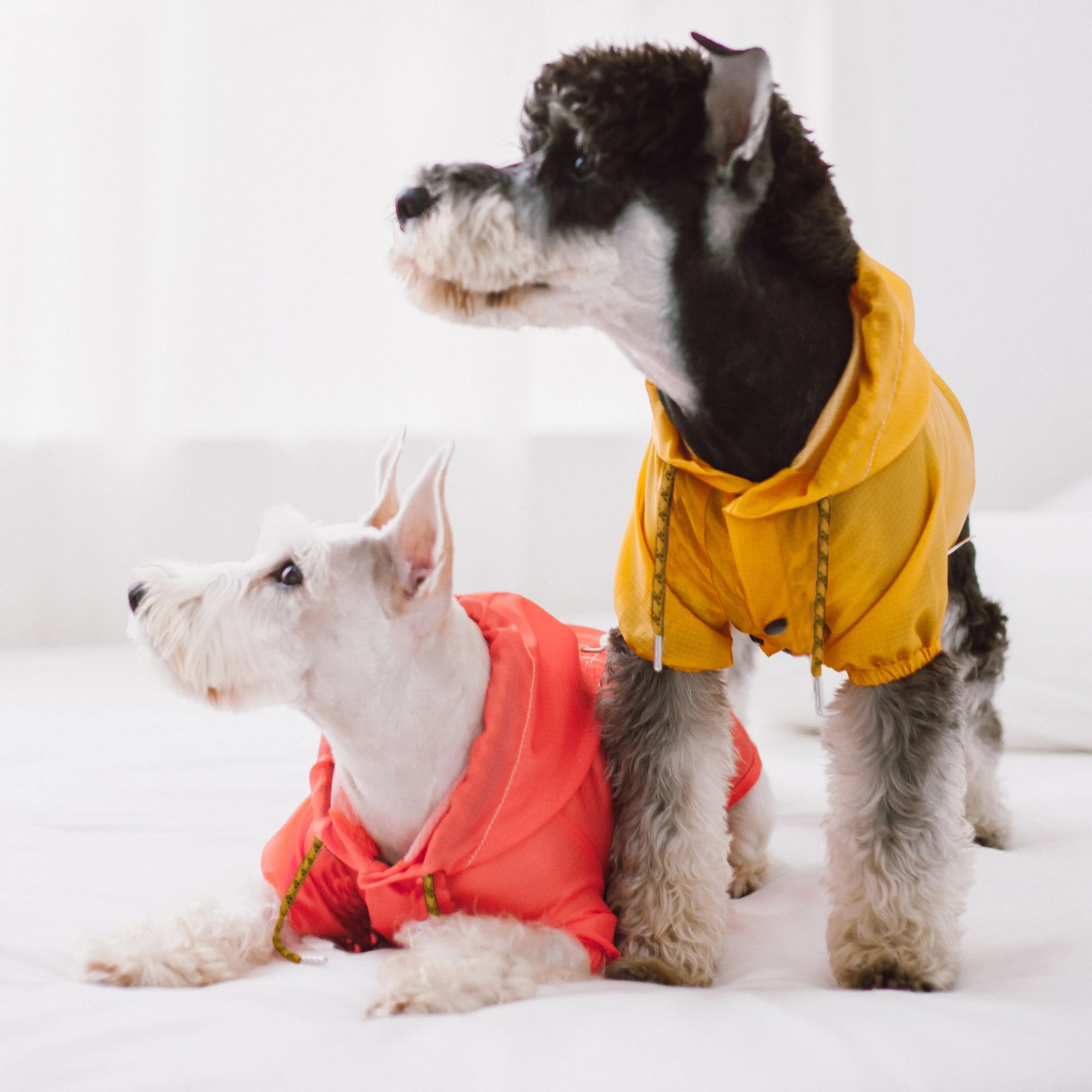 Touchdog Split-Vent Designer Waterproof Dog Raincoat - Image 3