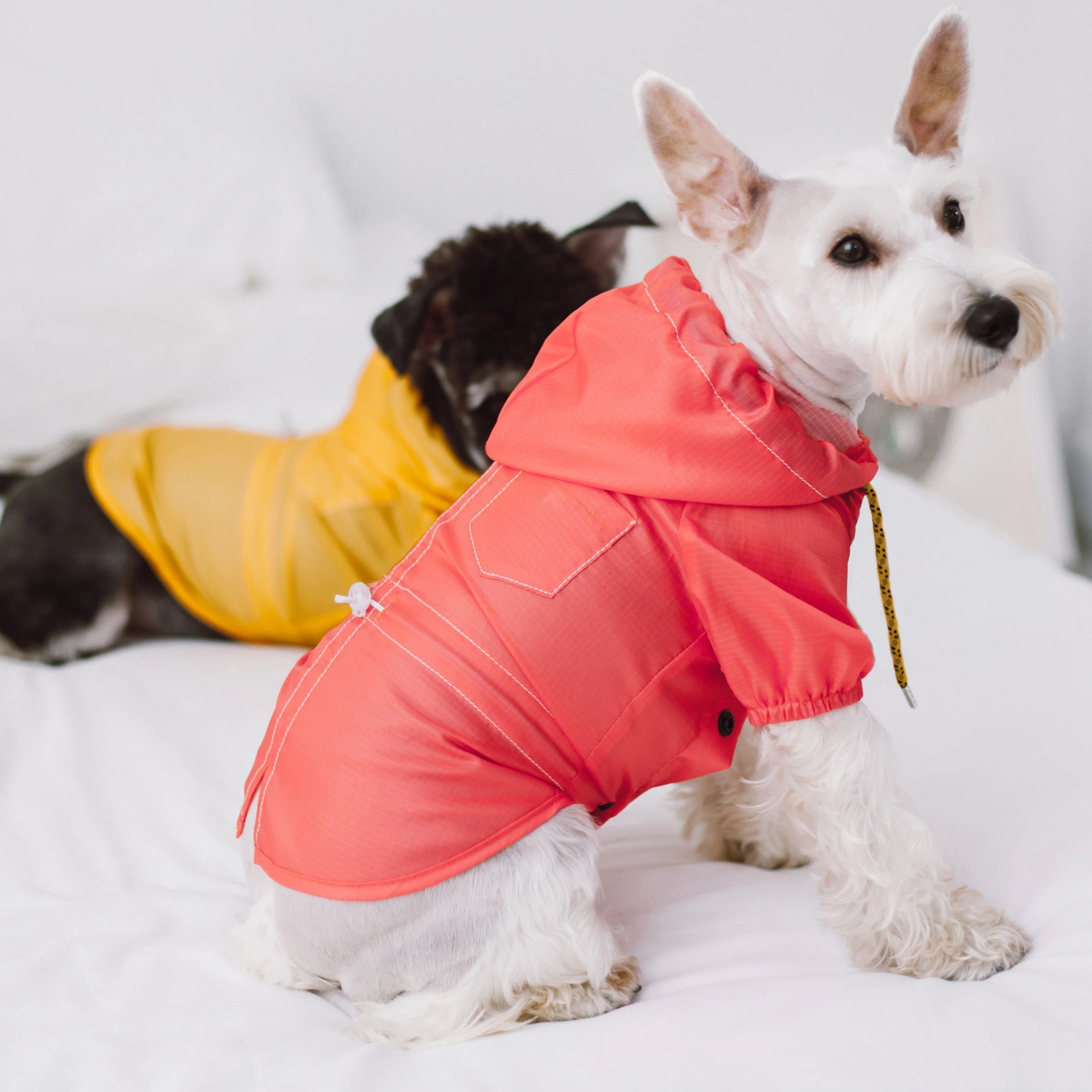 Touchdog Split-Vent Designer Waterproof Dog Raincoat - Image 4