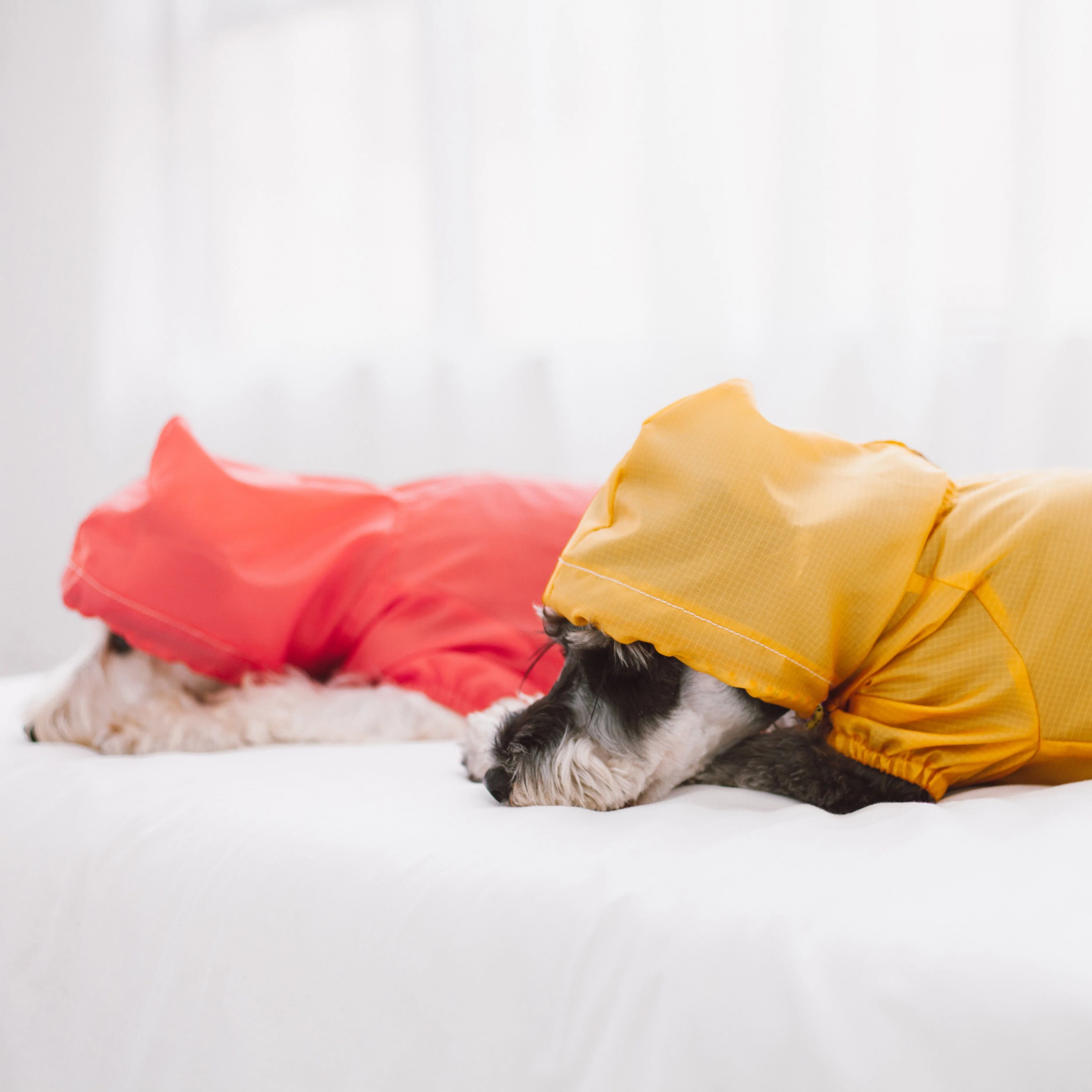 Touchdog Split-Vent Designer Waterproof Dog Raincoat - Image 6