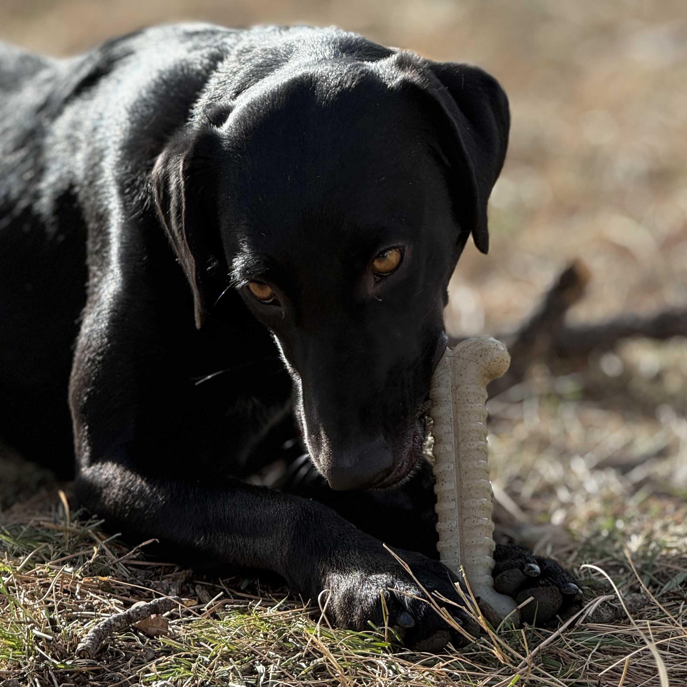 Tough Bone Nylon Chew Bone | Ultra-Durable Dog Toy for Aggressive Chewers | SodaPup - Image 6