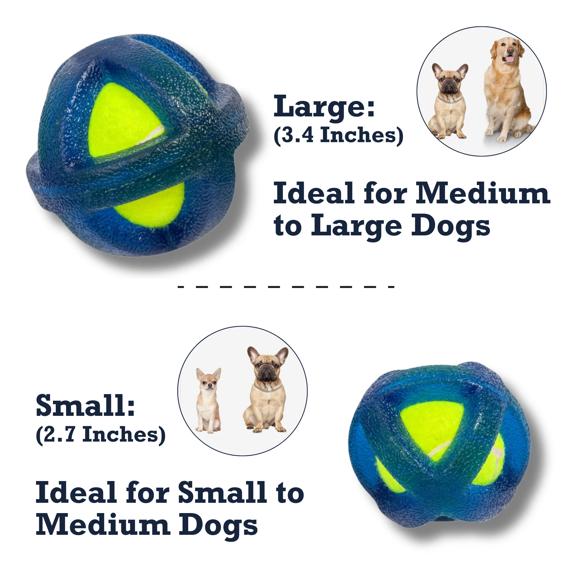 TPR-Coated Agility Tennis Ball Dog Toy – Durable & Pet-Safe - Image 11
