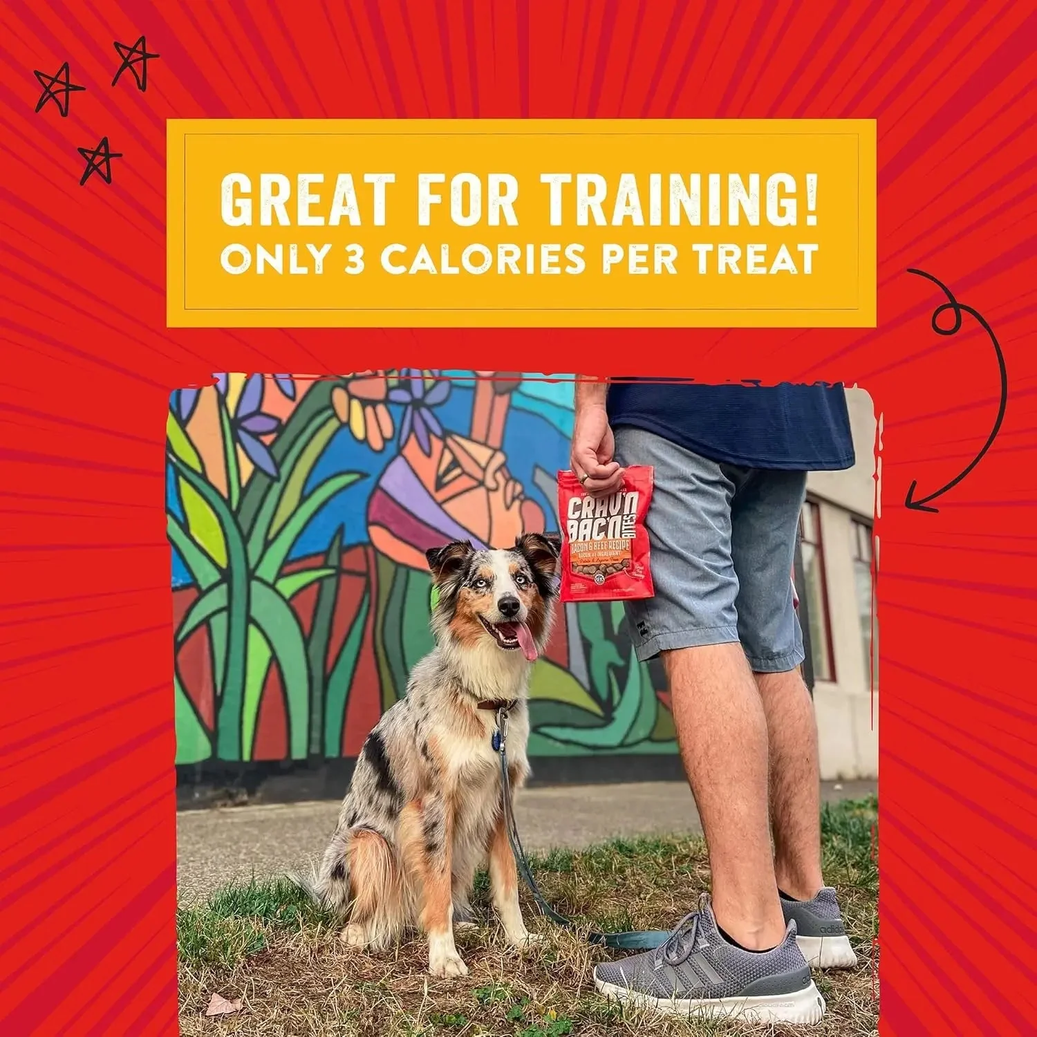 Training Dog Treats - Crav'N Bac'N Soft Bacon & Chicken Bites - Premium USA Made - Low Calorie Rewards - 8.25Oz - Image 5