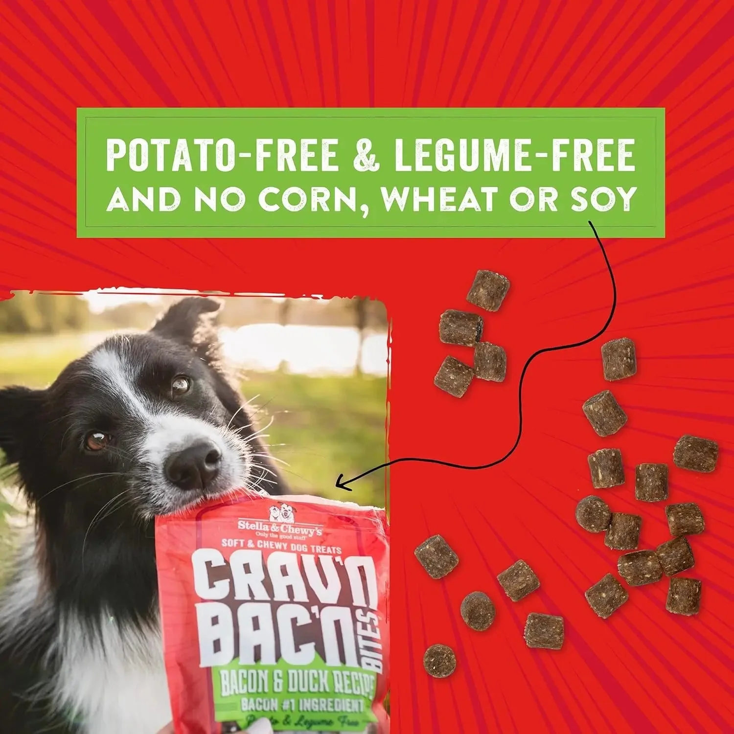 Training Dog Treats - Crav'N Bac'N Soft Bacon & Duck Bites - Premium USA Made - Low Calorie Rewards - 8.25Oz - Image 4