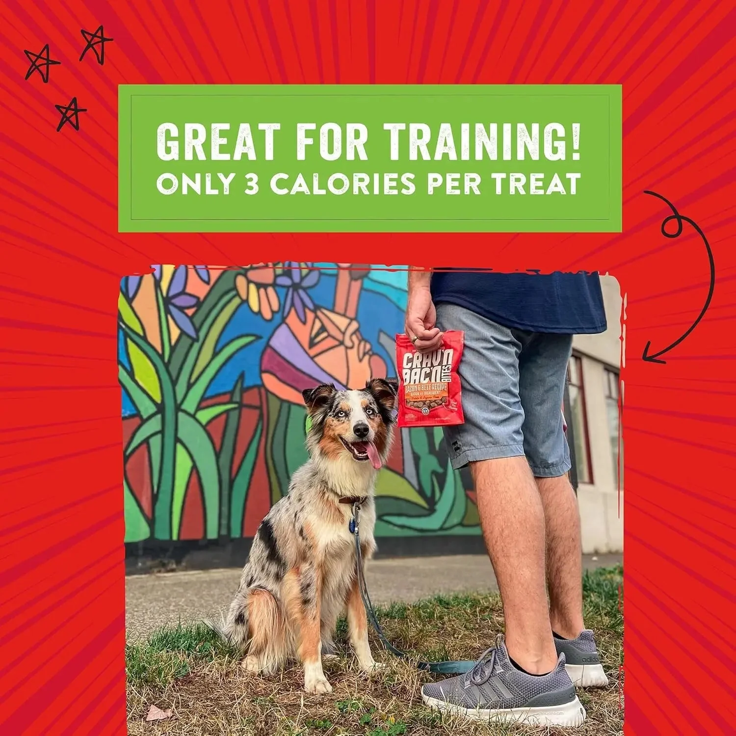 Training Dog Treats - Crav'N Bac'N Soft Bacon & Duck Bites - Premium USA Made - Low Calorie Rewards - 8.25Oz - Image 5