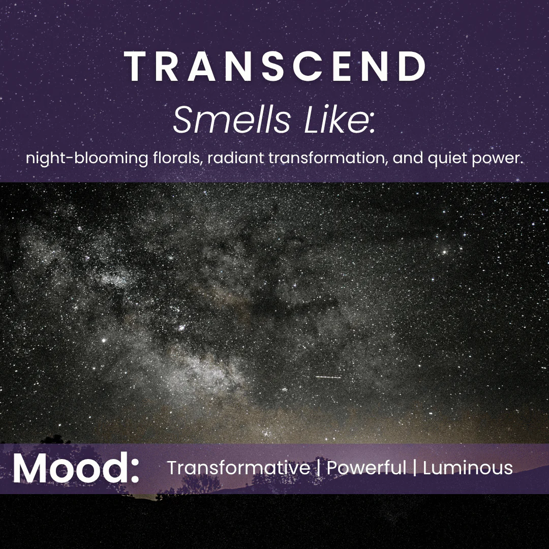 Transcend - Jasmine & Sandalwood Soy Candle - Image 5