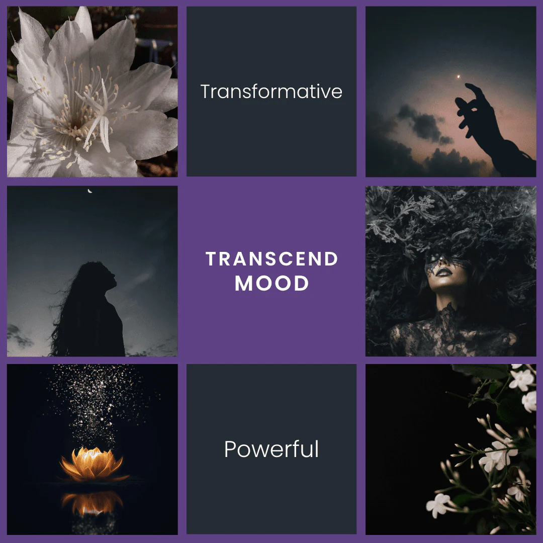 Transcend – Jasmine & Sandalwood Soy Wax Melts - Image 2