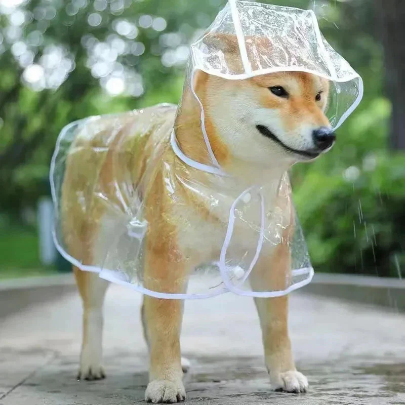 Transparent Dog Raincoat – Waterproof Hooded Pet Rainwear Jacket for Small Dogs - Image 2