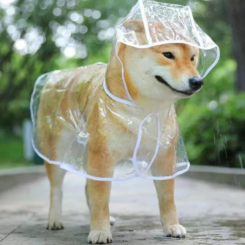 Transparent Dog Raincoat – Waterproof Hooded Pet Rainwear Jacket for Small Dogs - Image 9