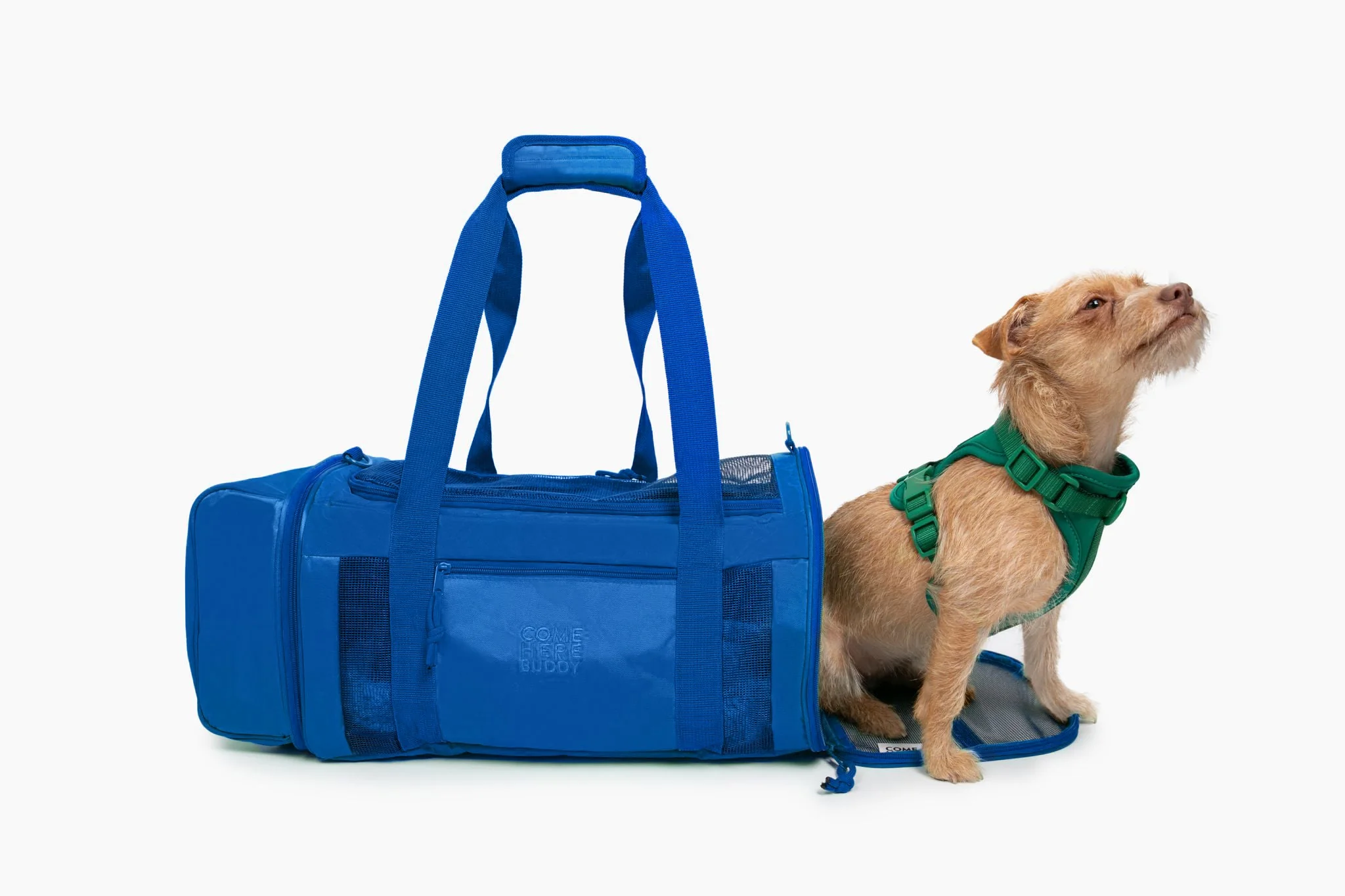Travel Buddy - Pet Carrier - Image 14