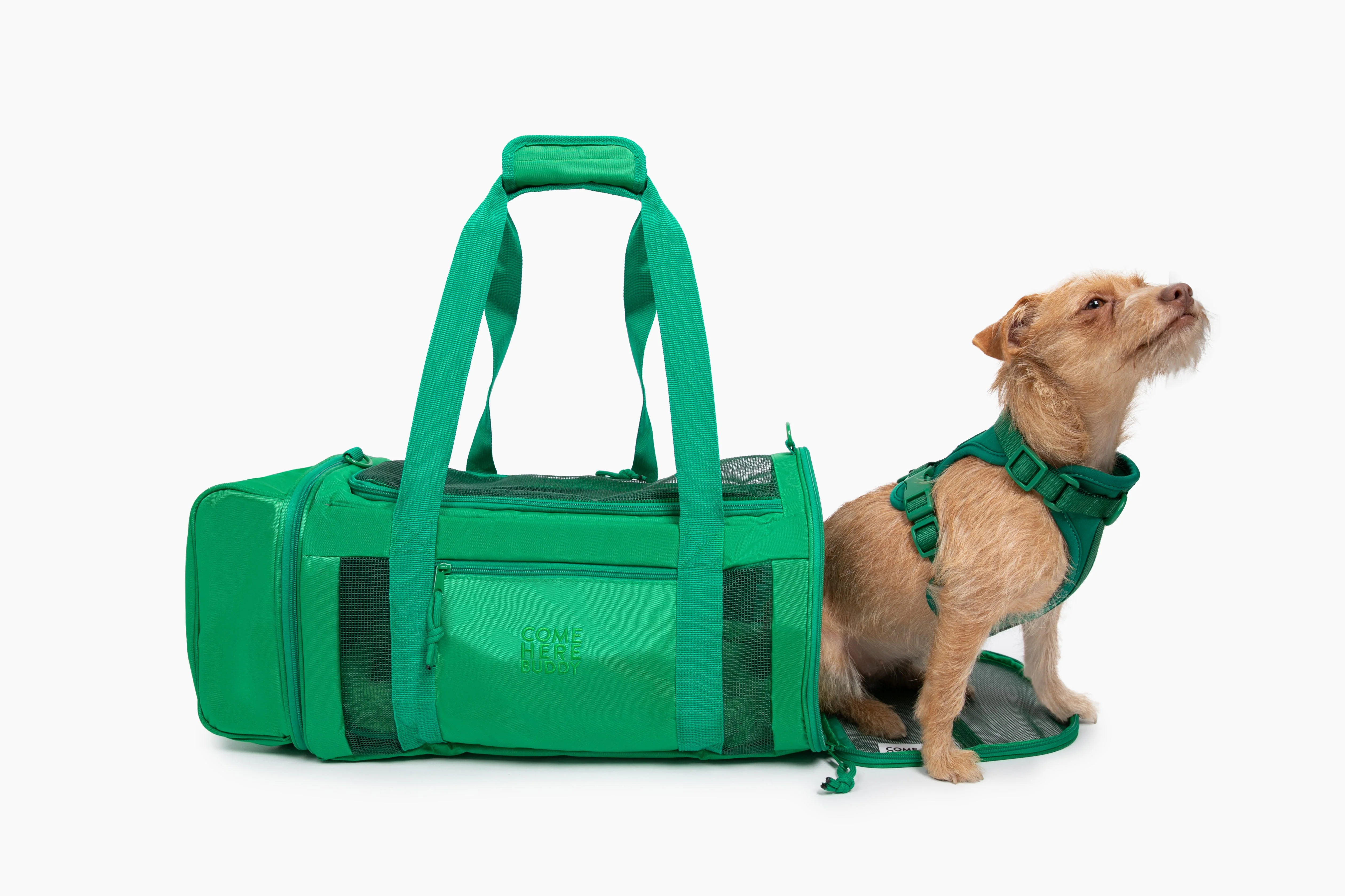 Travel Buddy - Pet Carrier - Image 2