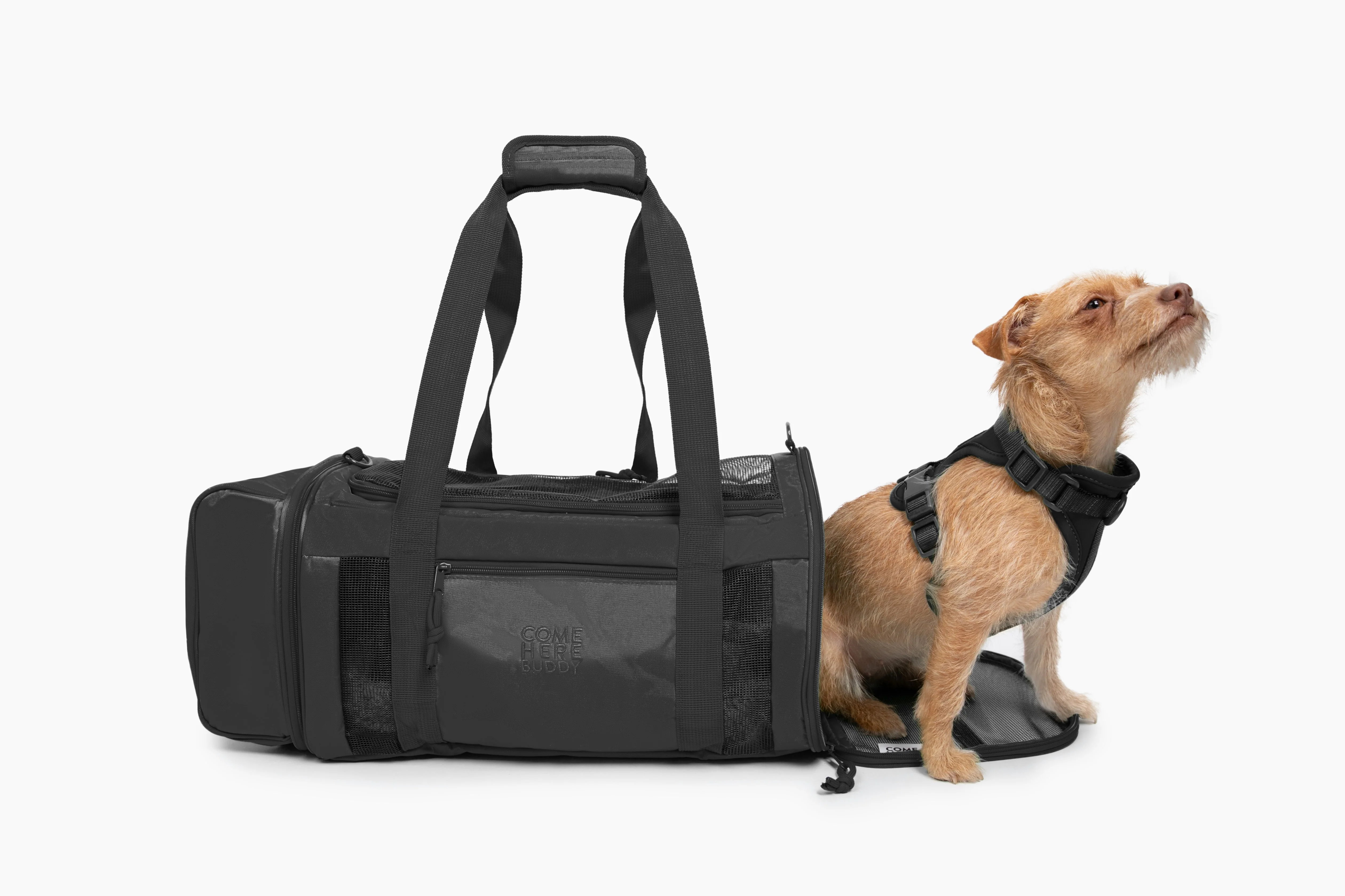 Travel Buddy - Pet Carrier - Image 6