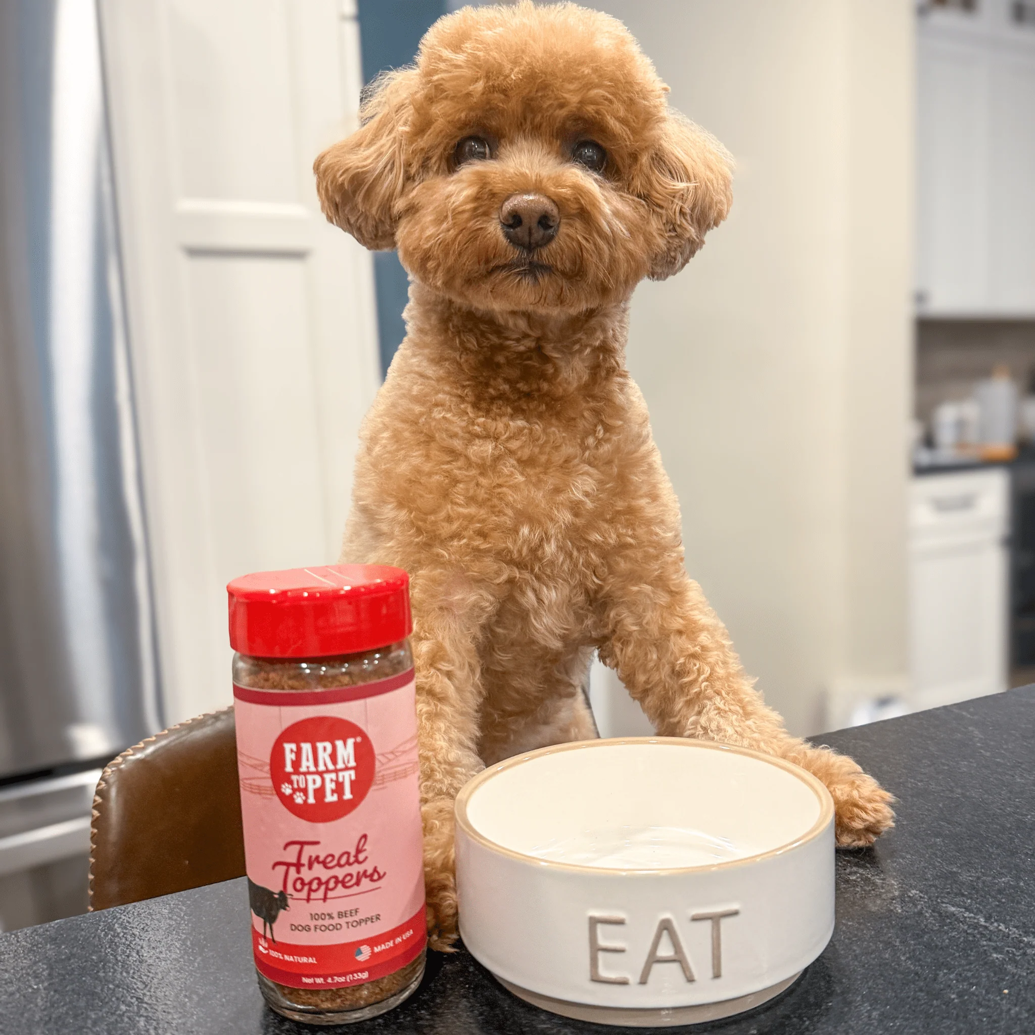 Treat Topper Beef Dog Food Topper | Powdered Meal Topper for Pets - Image 4
