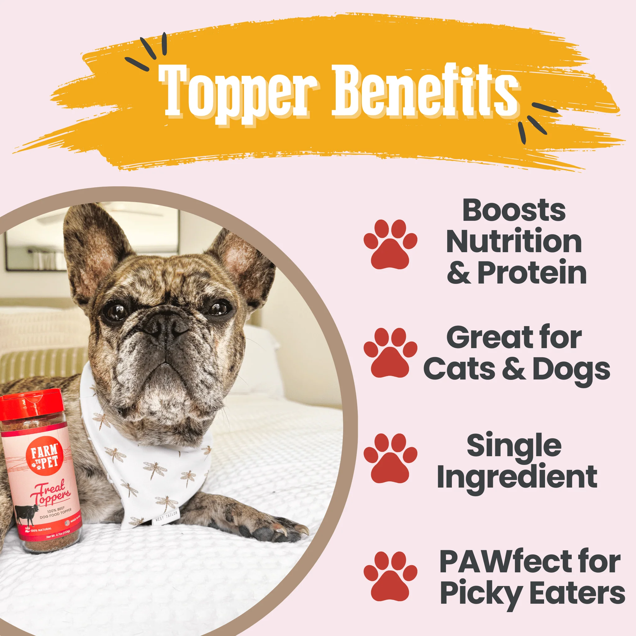 Treat Topper Beef Dog Food Topper | Powdered Meal Topper for Pets - Image 6