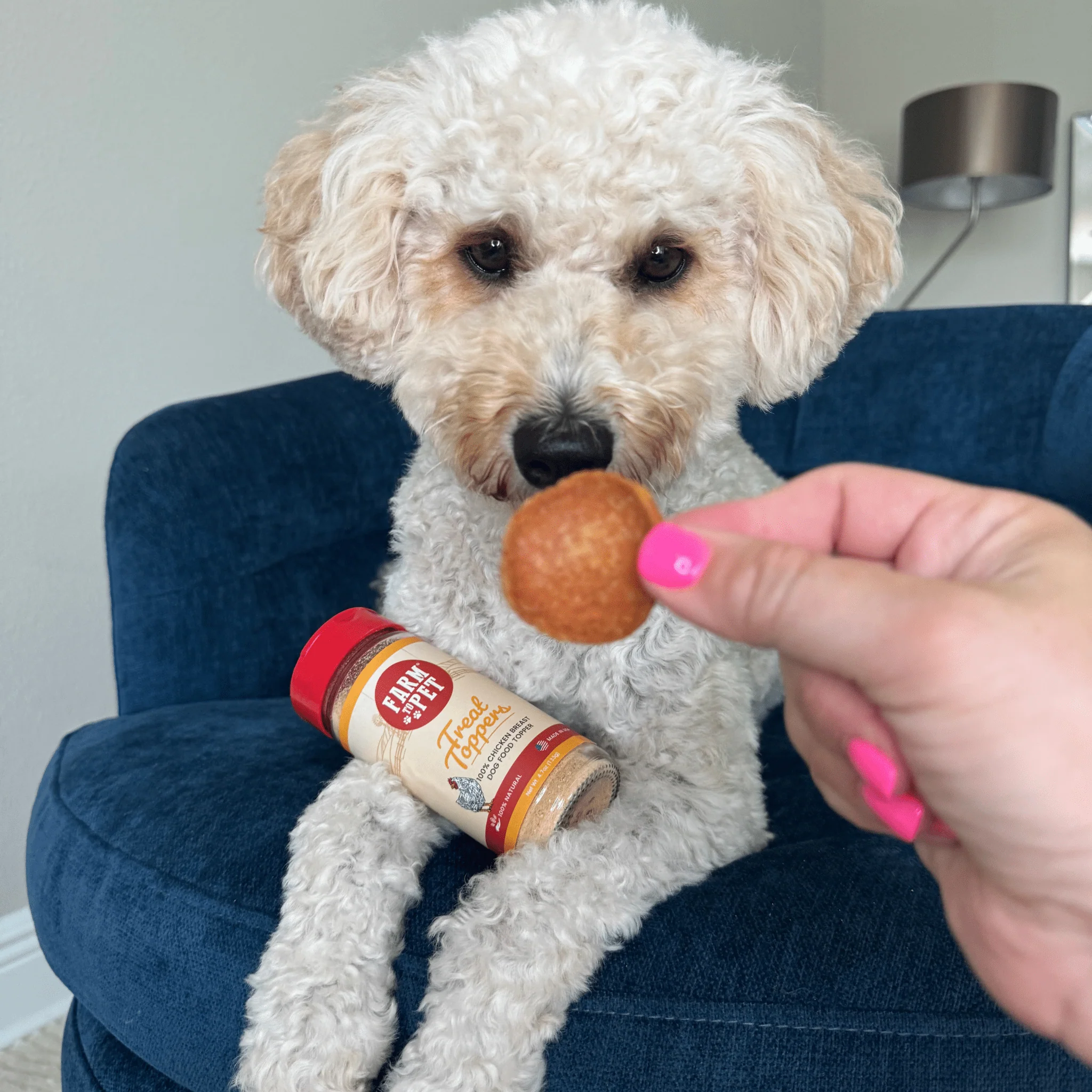 Treat Topper Chicken Dog Food Topper | Healthy Meal Supplement for Dogs - Image 4