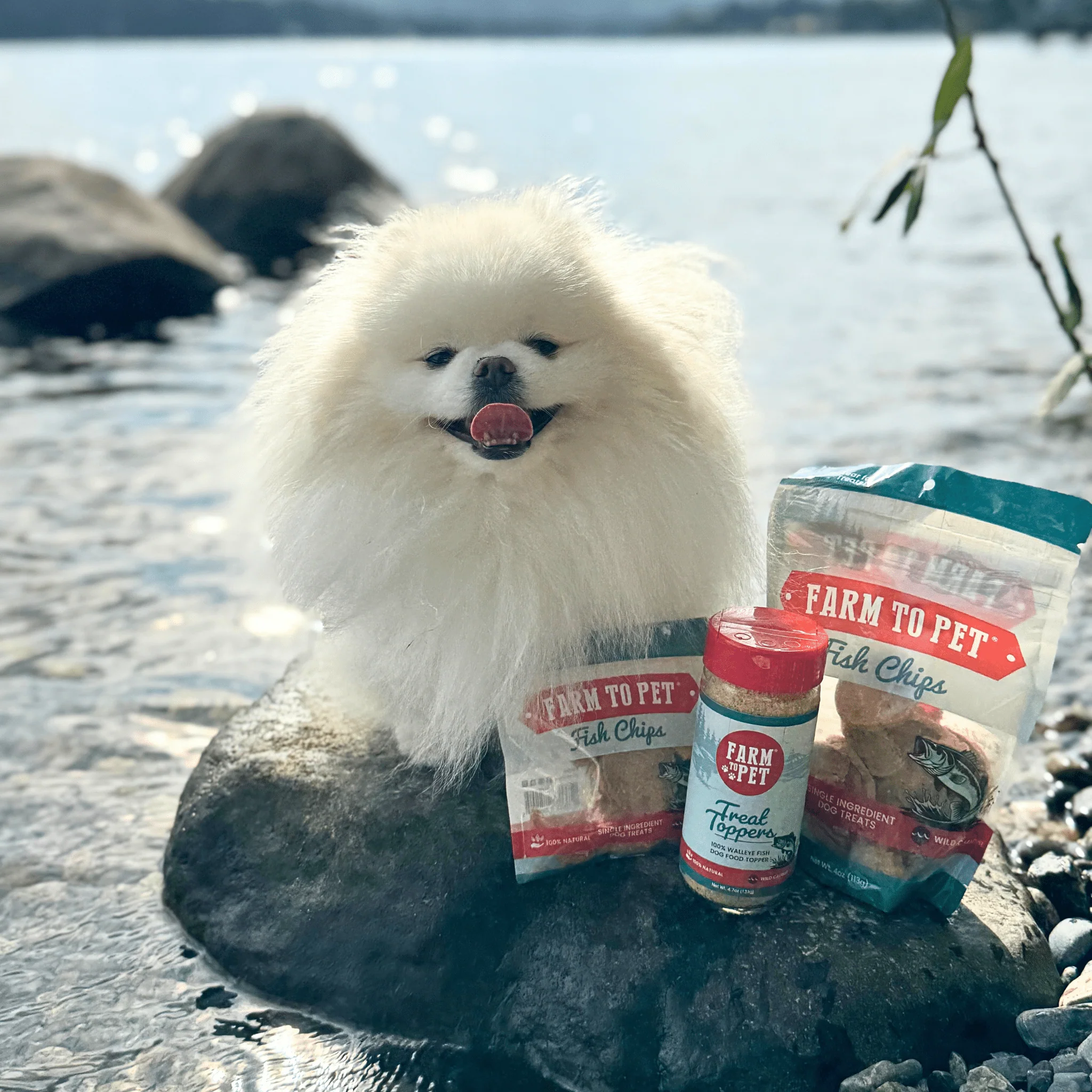 Treat Topper Fish Dog Food Topper | Low-Fat Meal Topper for Pets - Image 3