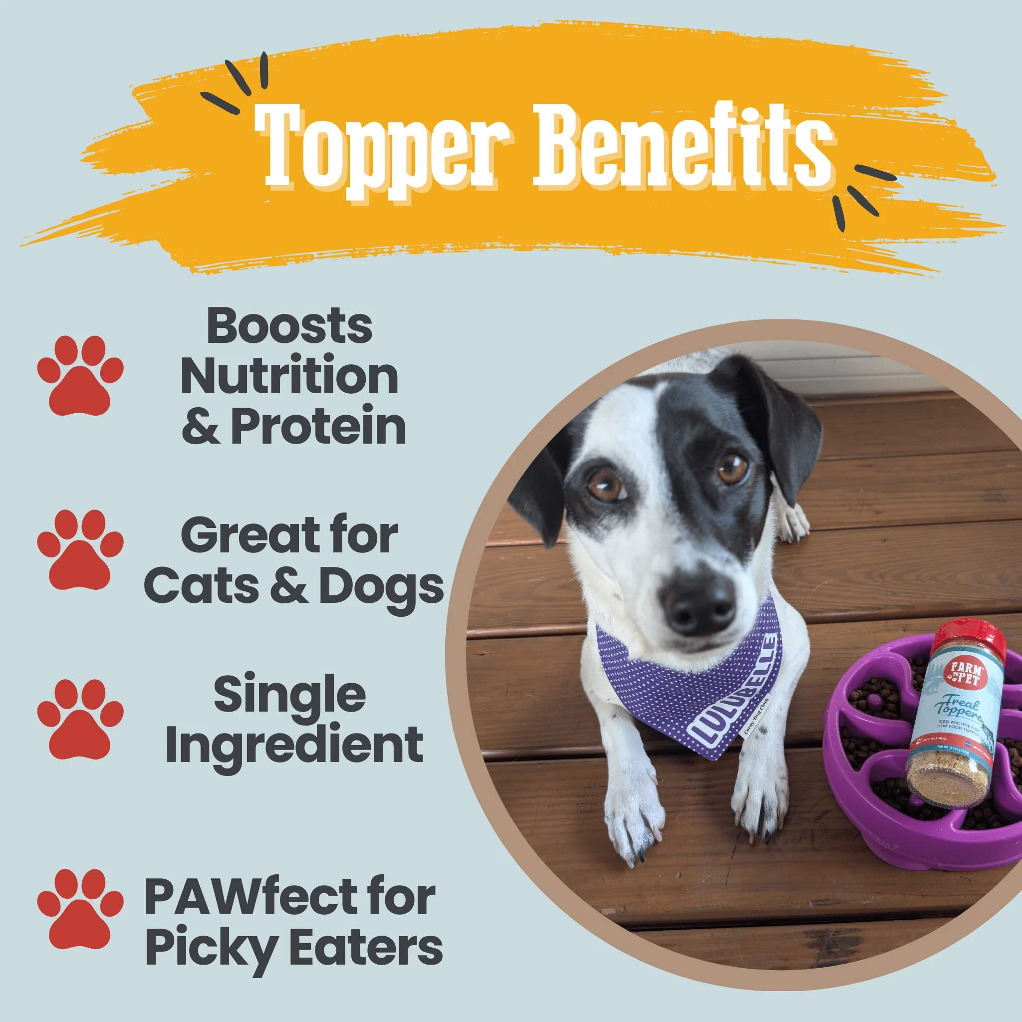 Treat Topper Fish Dog Food Topper | Low-Fat Meal Topper for Pets - Image 6