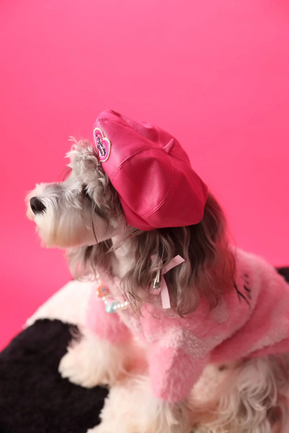Trendy Pet Beret - Image 10