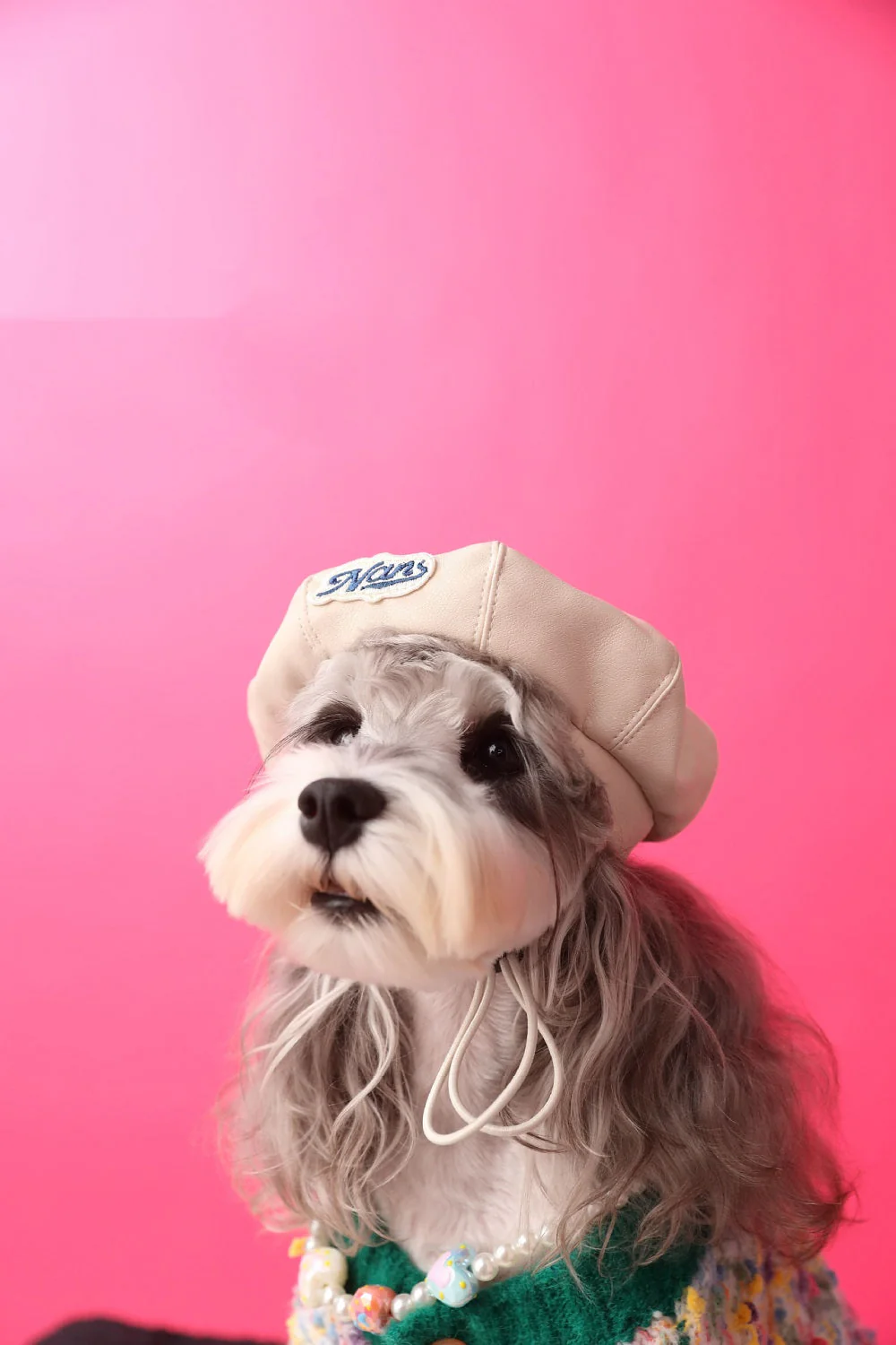 Trendy Pet Beret - Image 3