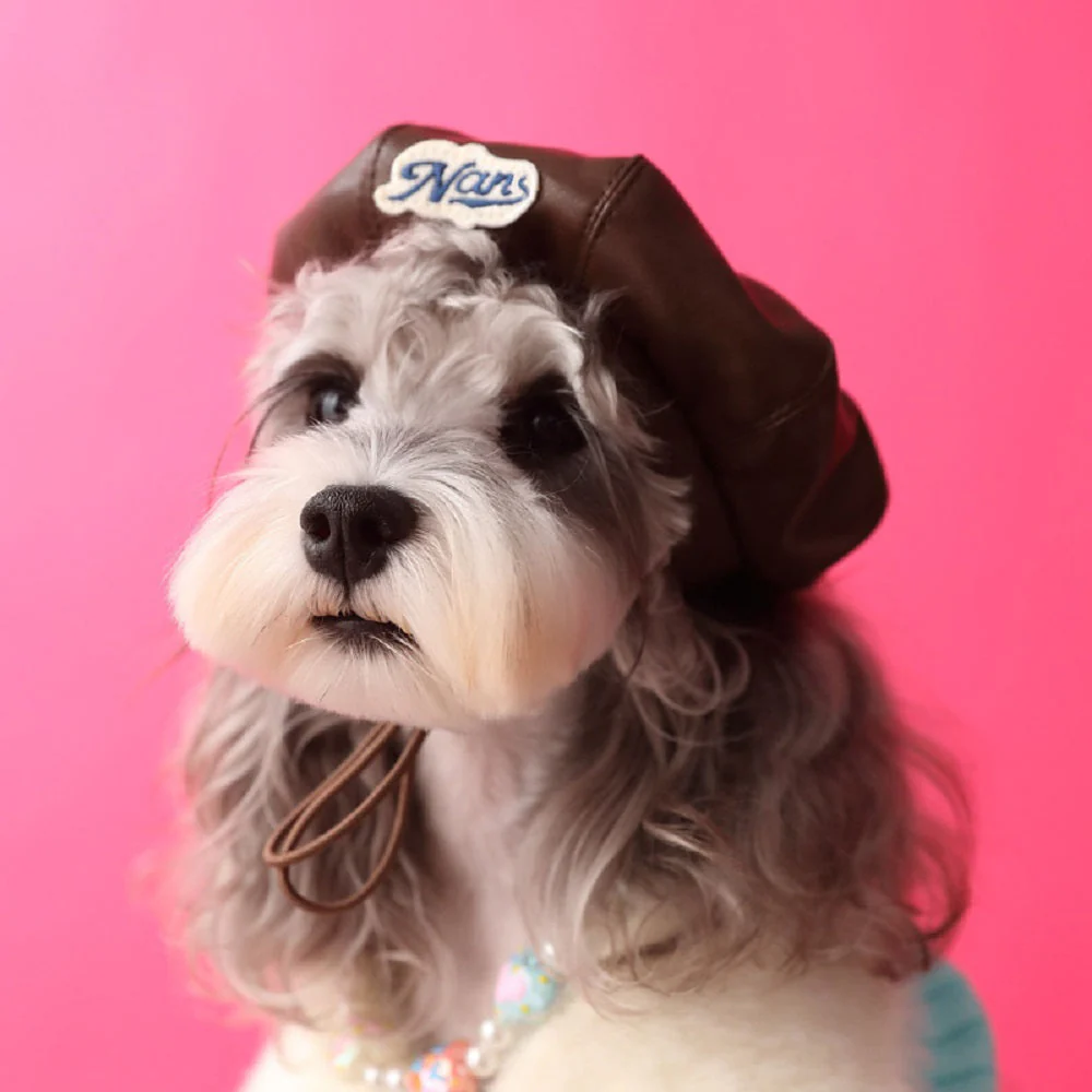 Trendy Pet Beret - Image 6