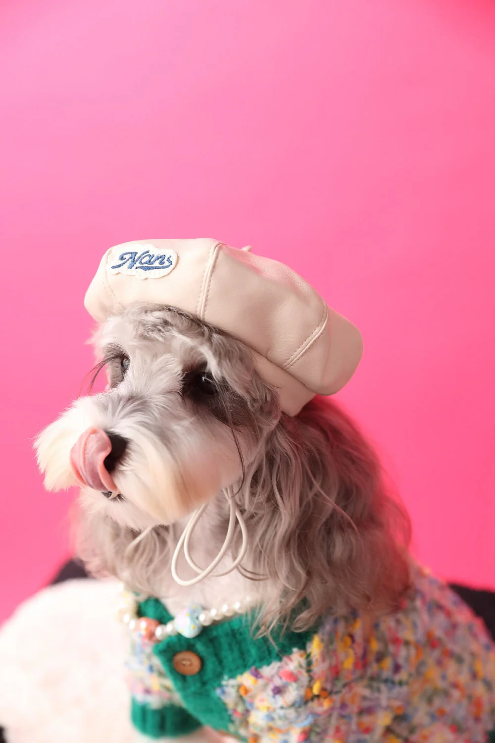Trendy Pet Beret - Image 7