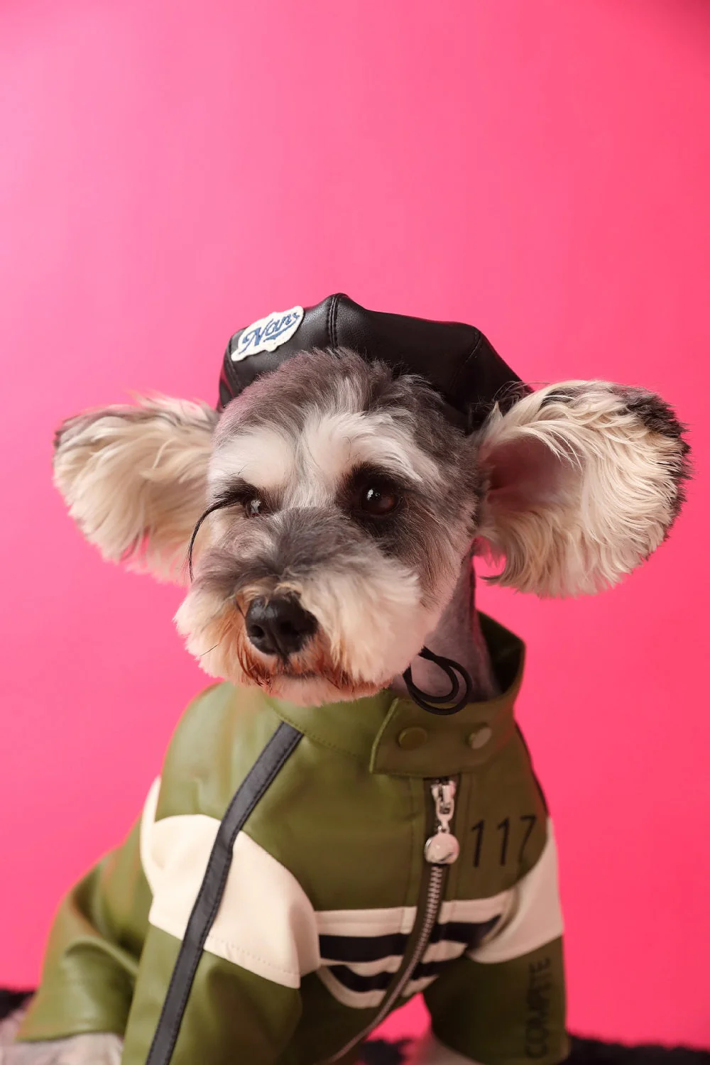 Trendy Pet Beret - Image 8