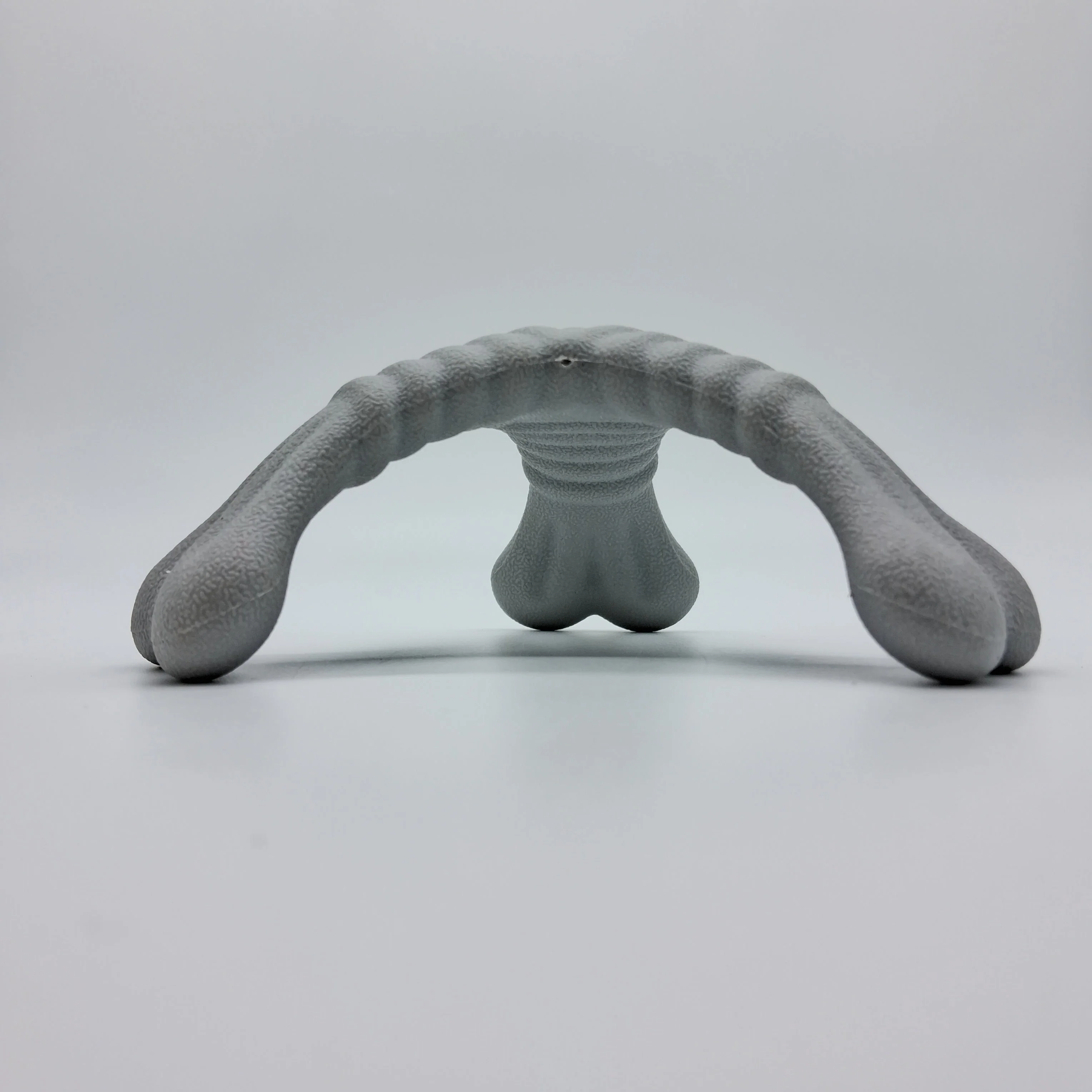 Tri-Bone XL - Image 4