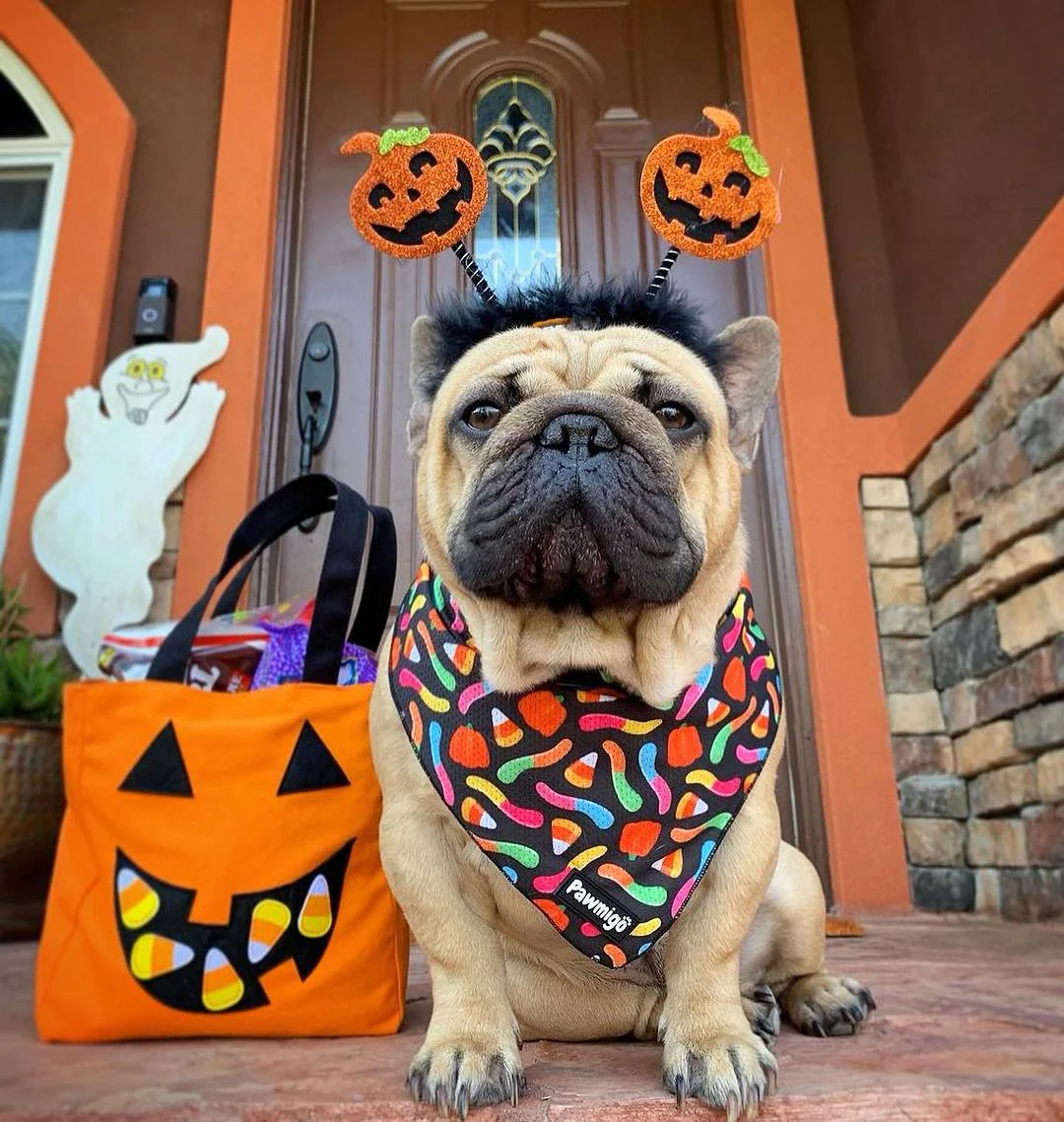 Trick N Treat Cooling Bandana - Image 2